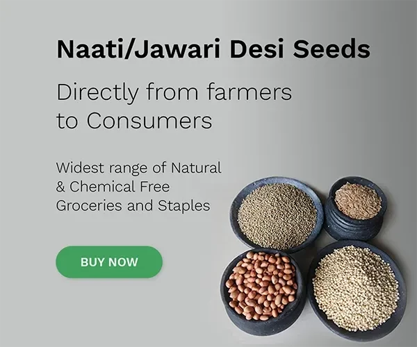 Naati/Jawari Desi Seeds - Directly from farmers to consumers